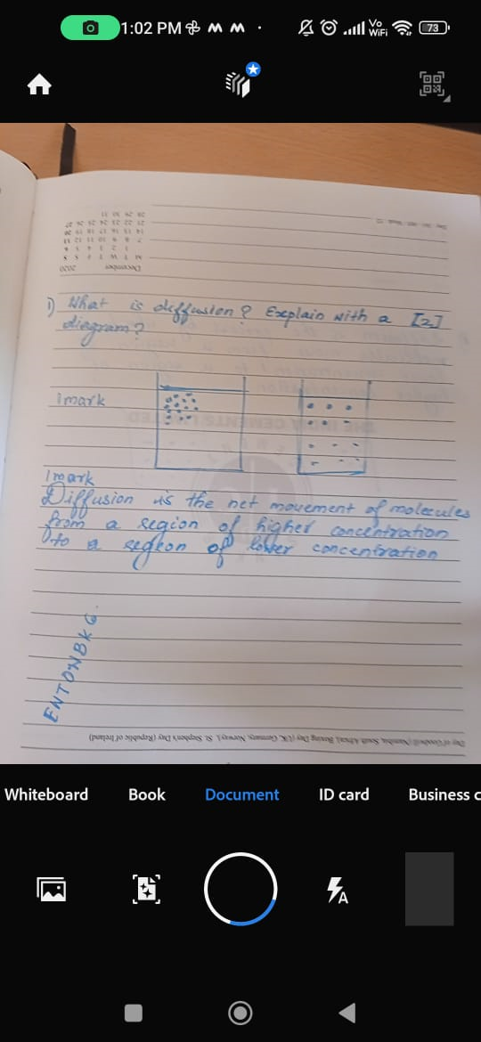 Position Document